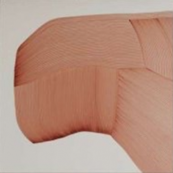 Earth Tone Wall Paints 3D Model for Stylish Interiors