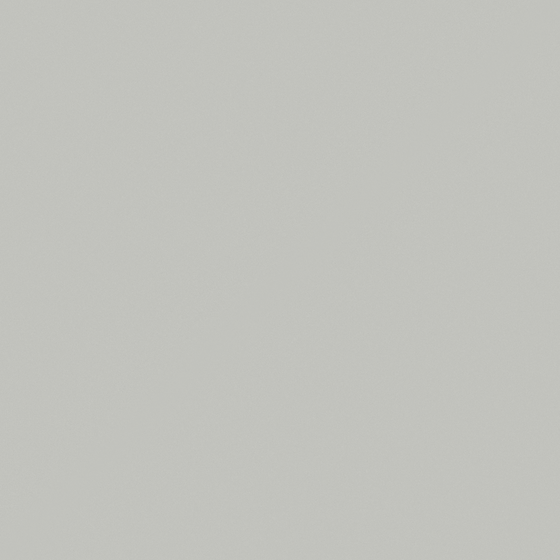 Wood Color Wall Paints for Natural Aesthetics