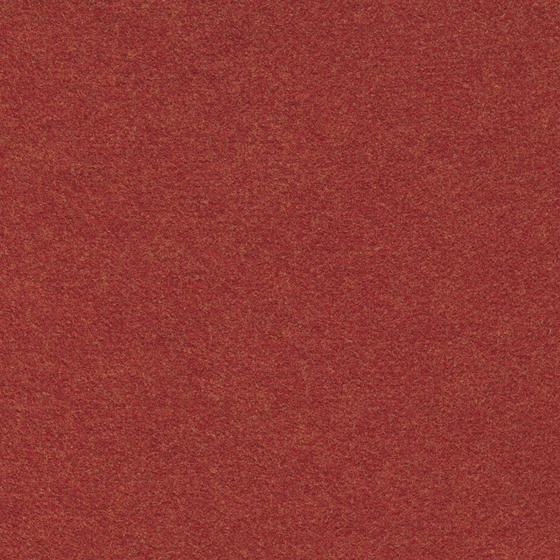 Earth Color Felt Map 3D Model