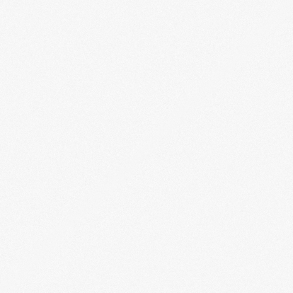 Z6020-Simple White-F30