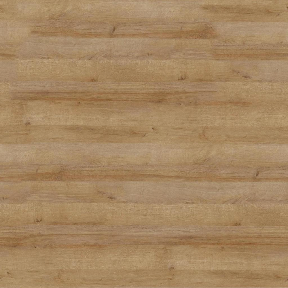 Z6001-American Yellow Oak