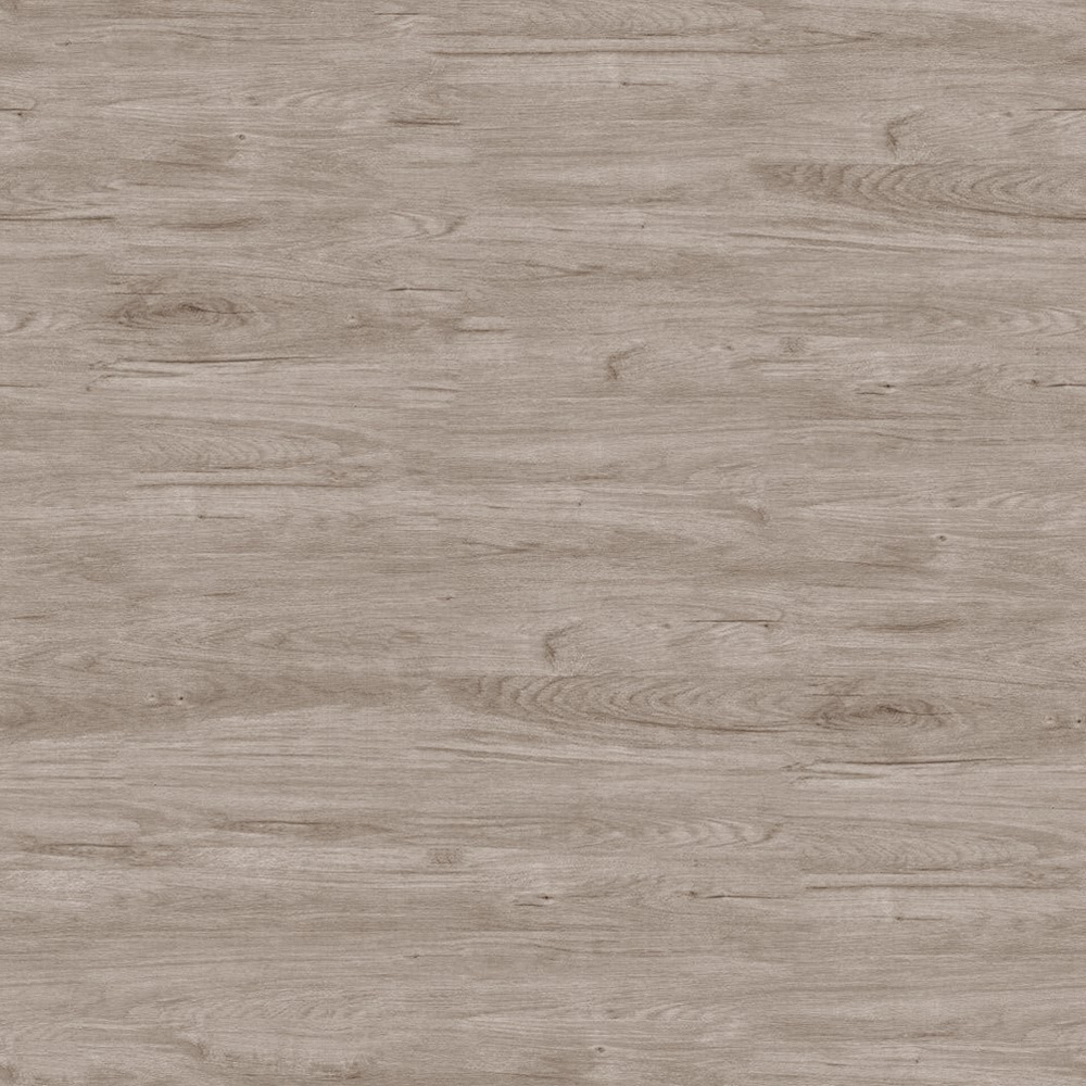 Z6006-ティエリ古代オーク (1)