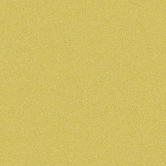 Crocodile Wall Paint 3D Model in Wood Color