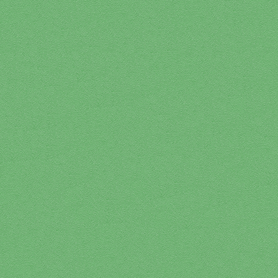 Crocodile-wall paint/paint