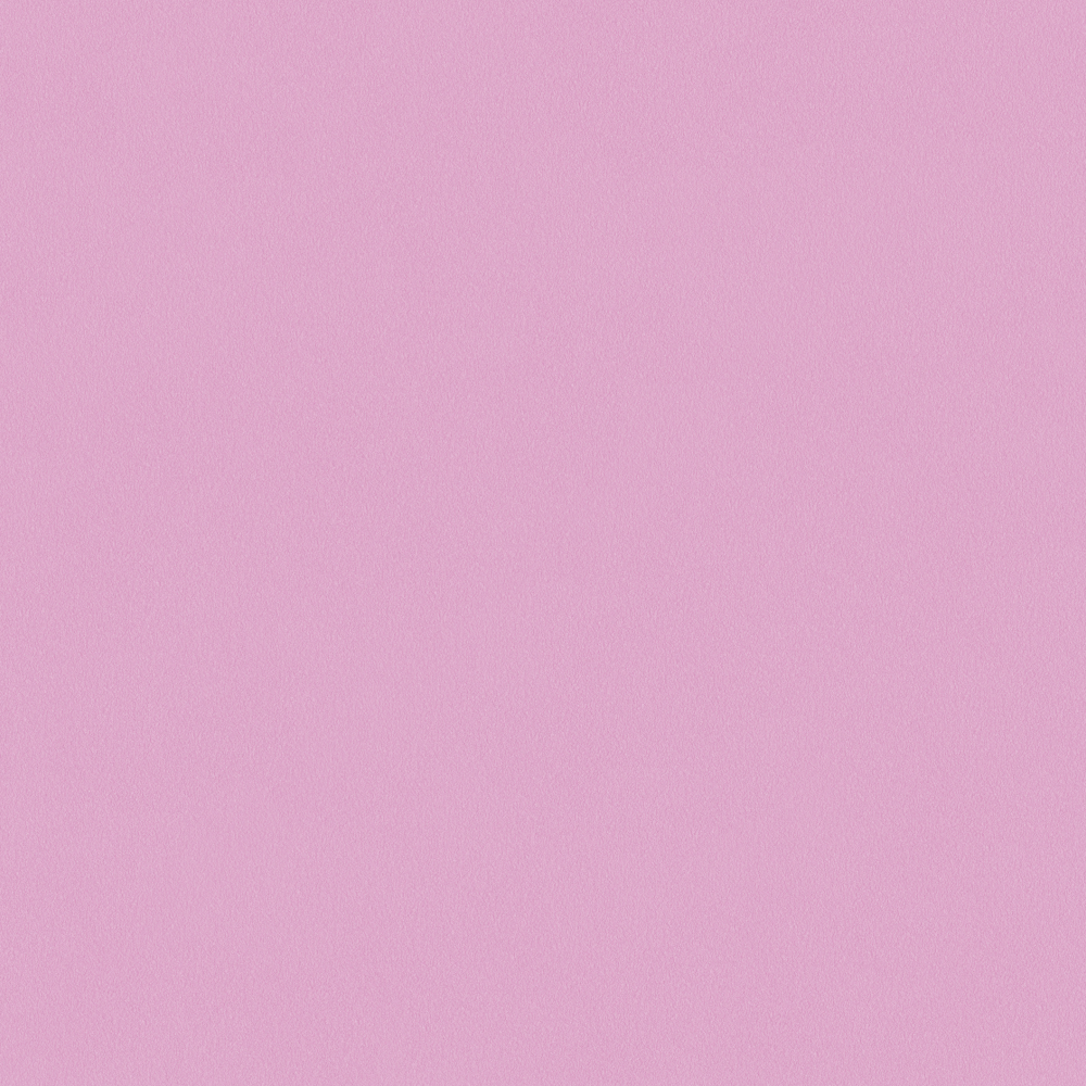 Crocodile-wall paint/paint