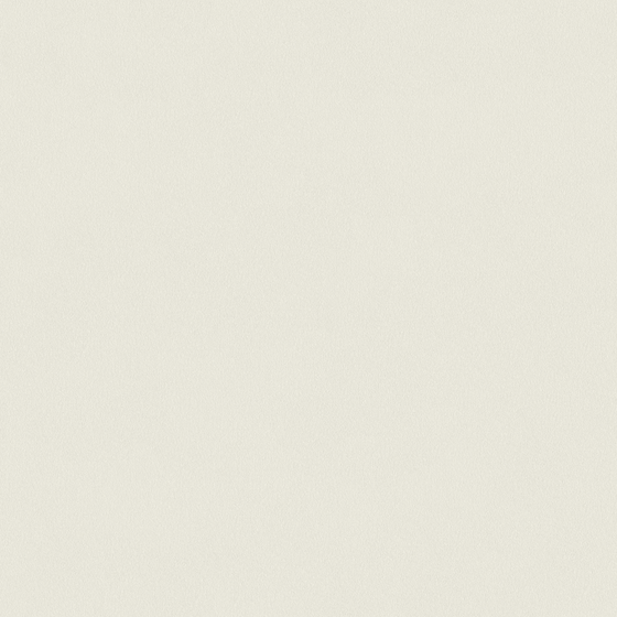 Crocodile-wall paint/paint