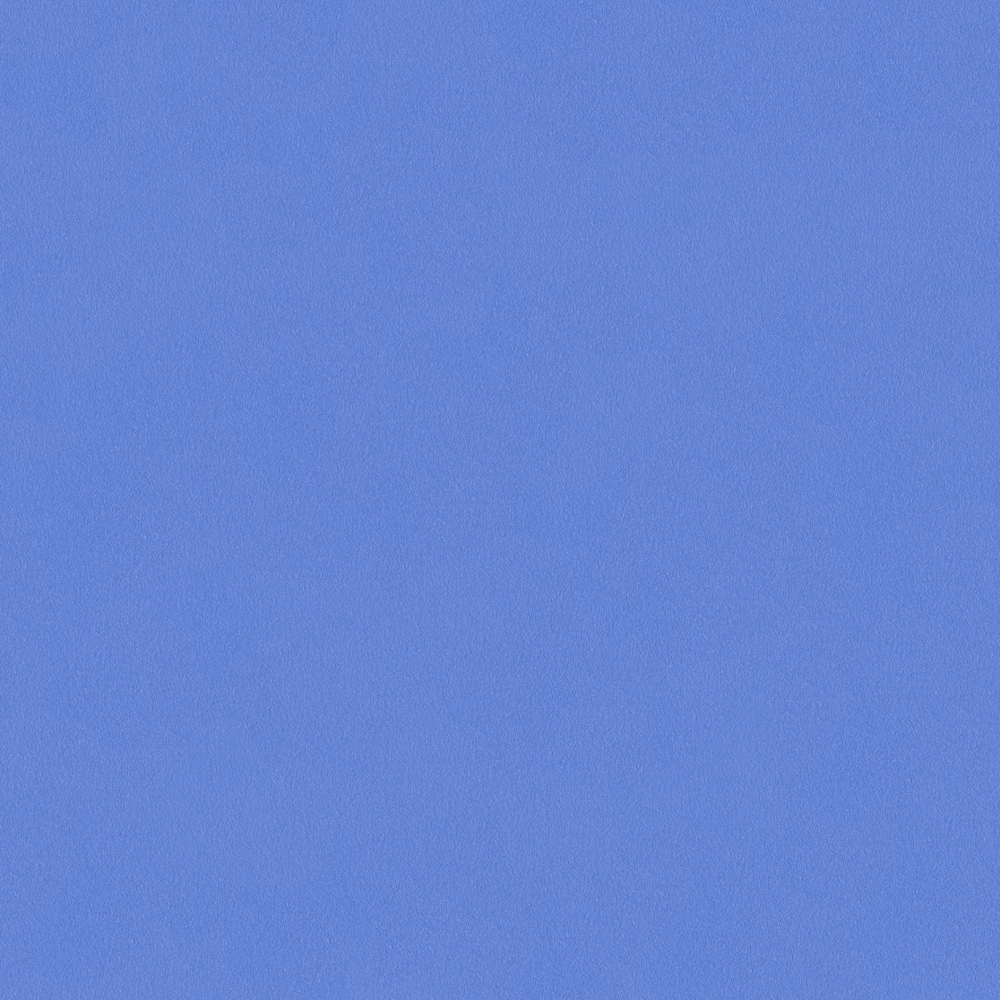 Crocodile-wall paint/paint