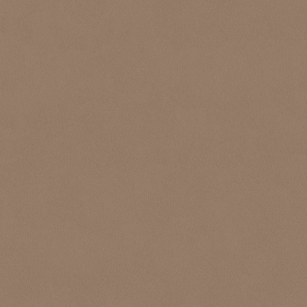 Crocodile-wall paint/paint