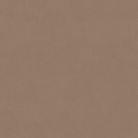 Crocodile-wall paint/paint