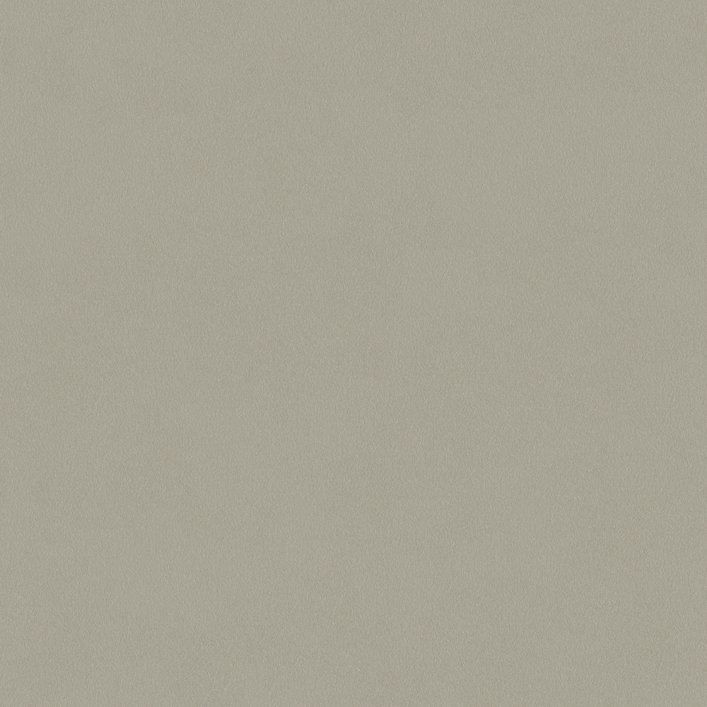 Crocodile-wall paint/paint