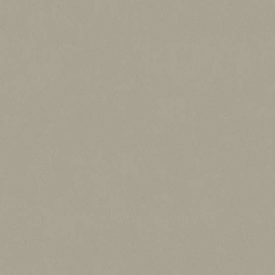 Crocodile Texture Wall Paint 3D Model in Gray