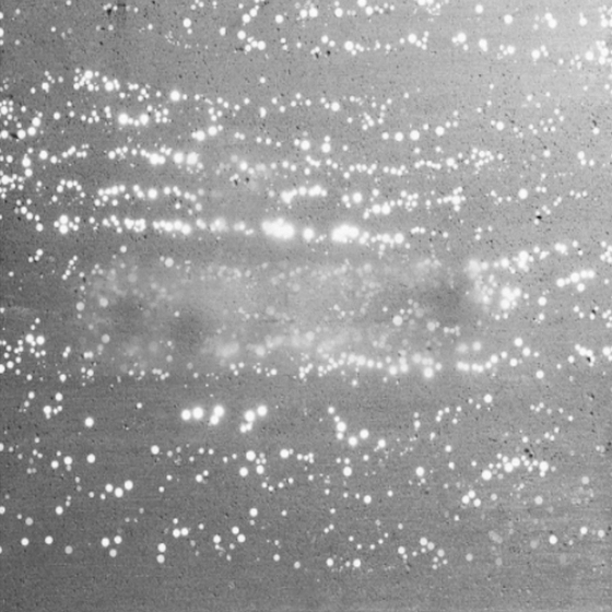 Gray Floor Tile 3D Model for Contemporary Flooring