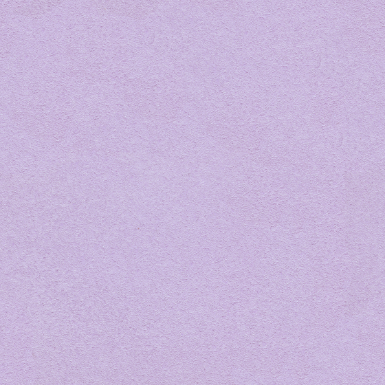 Crocodile-wall paint/paint