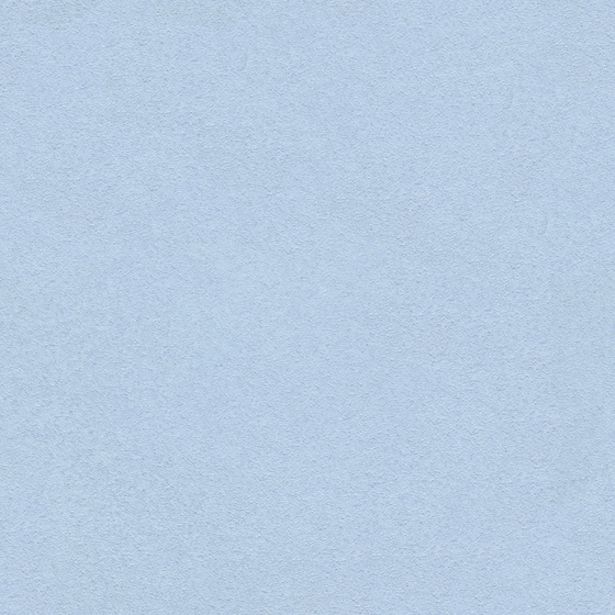 Crocodile-wall paint/paint