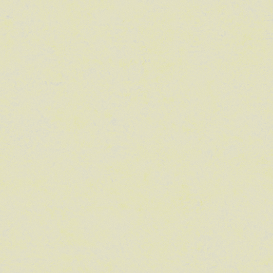 Crocodile-wall paint/paint