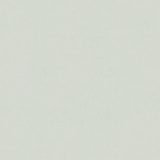 Elegant Gray Crocodile Wall Paint 3D Model for Unique Spaces