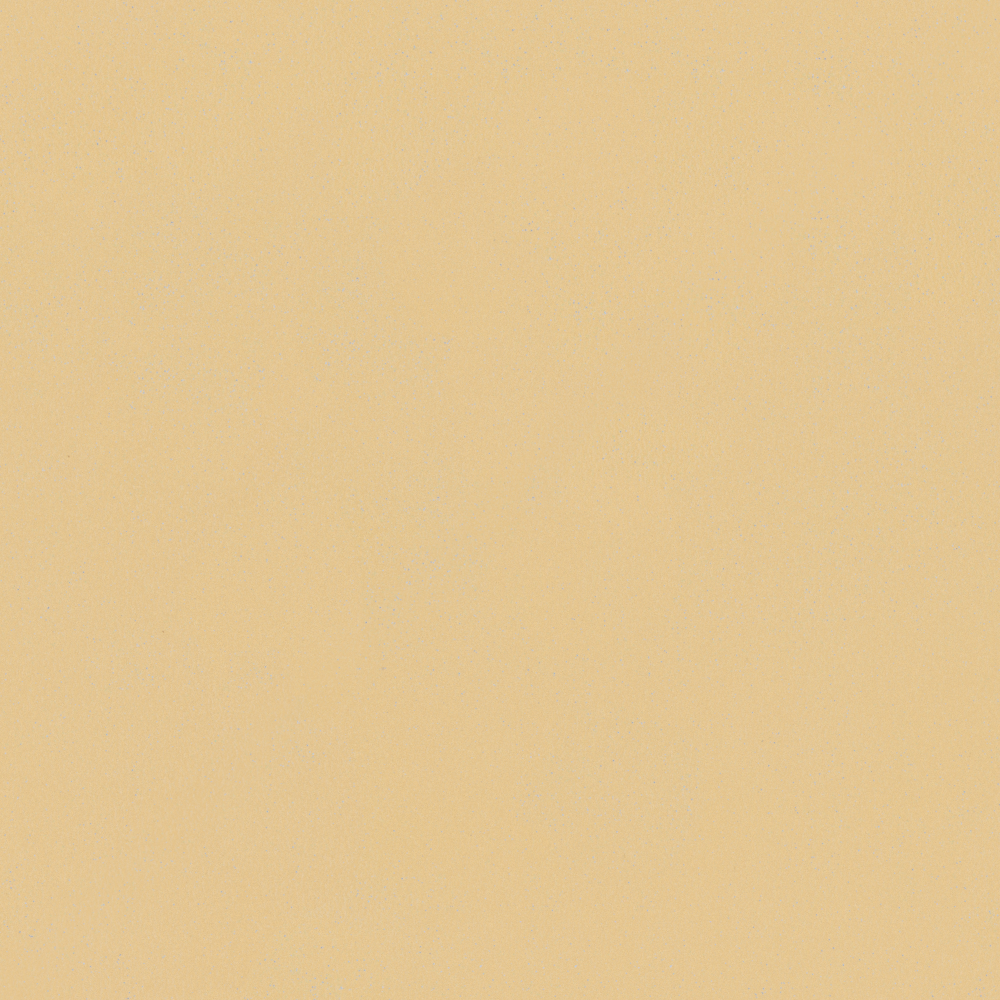 Crocodile-wall paint/paint