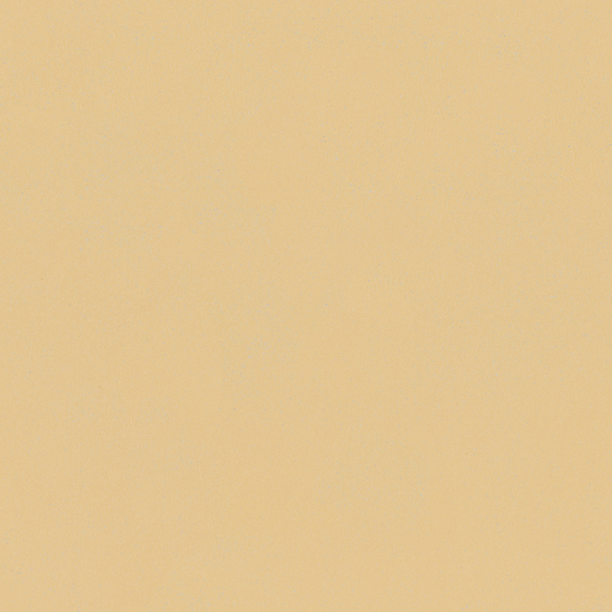 Crocodile-wall paint/paint