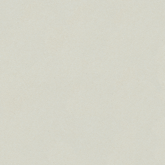 Crocodile Wall Paint 3D Model in Gray