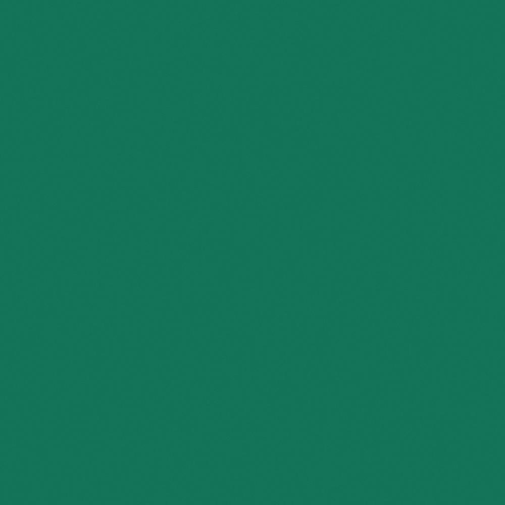 Wall paints/coatings