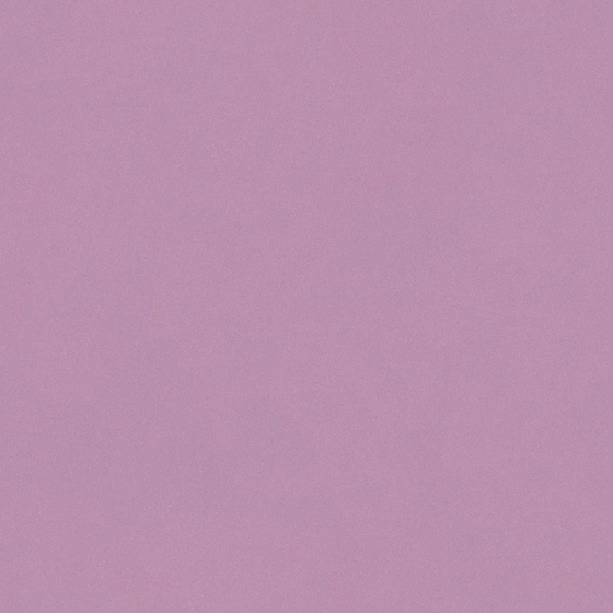 Purple Crocodile Wall Paint 3D Model