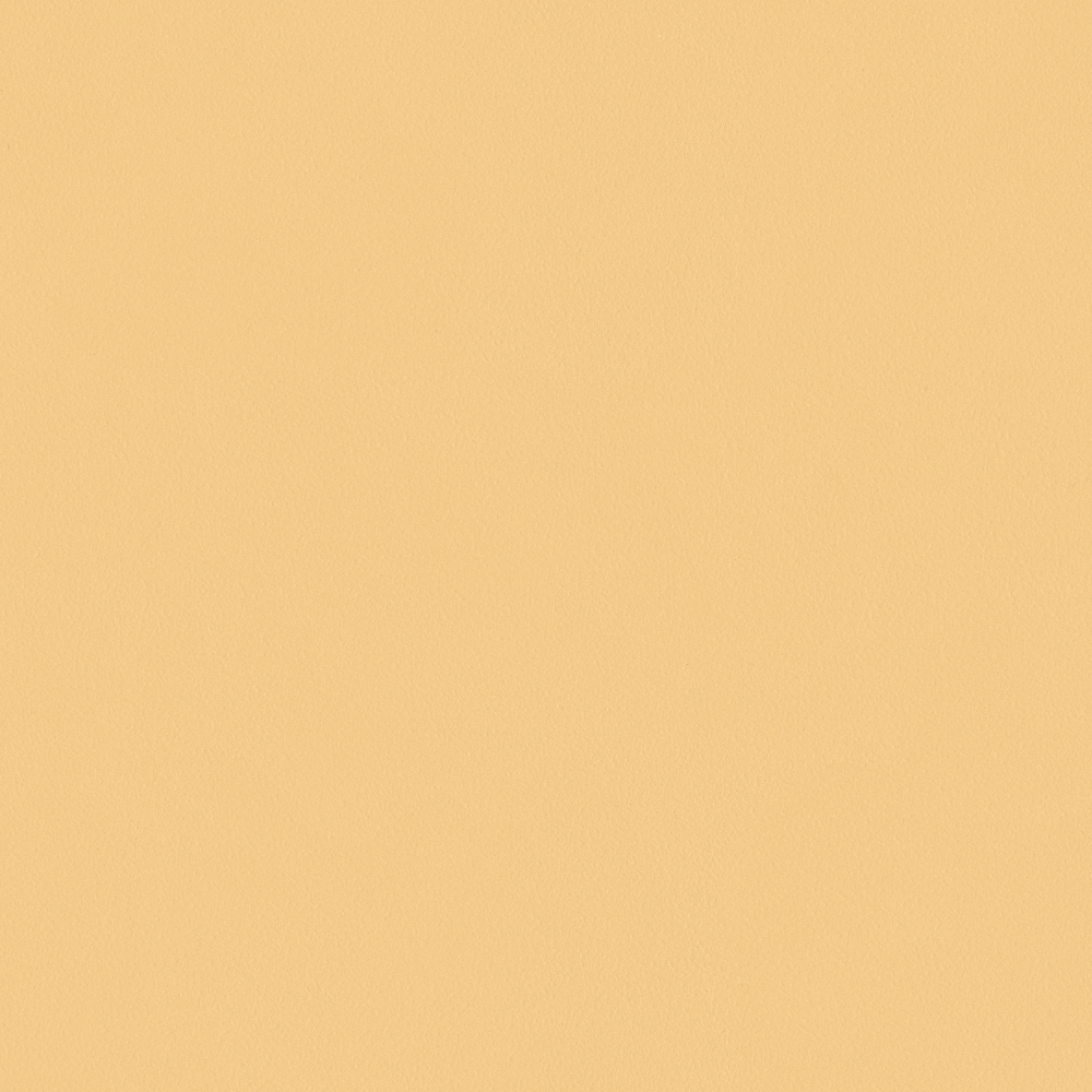 Crocodile-wall paint/paint