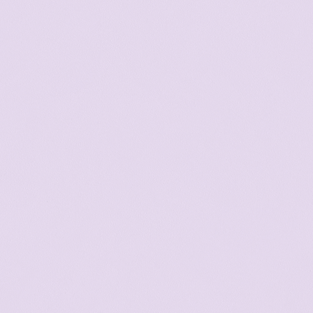 Crocodile-wall paint/paint