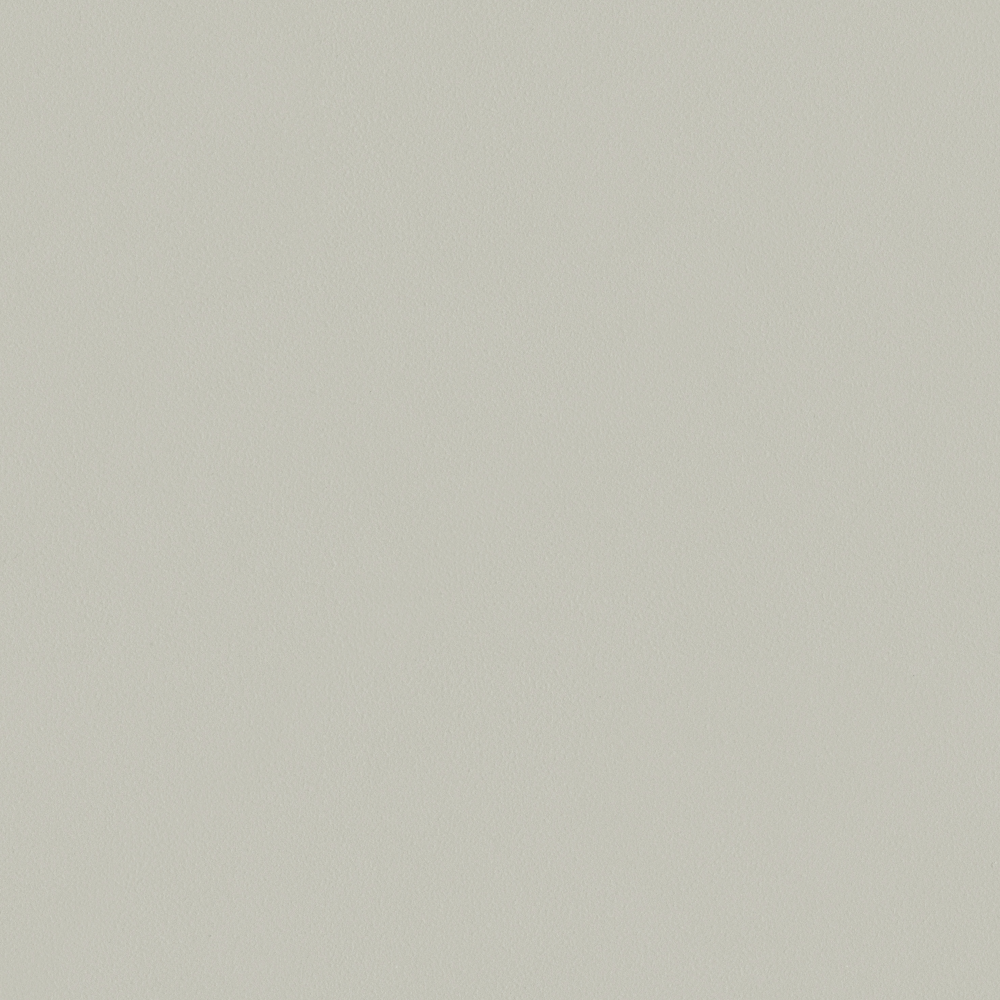 Crocodile-wall paint/paint