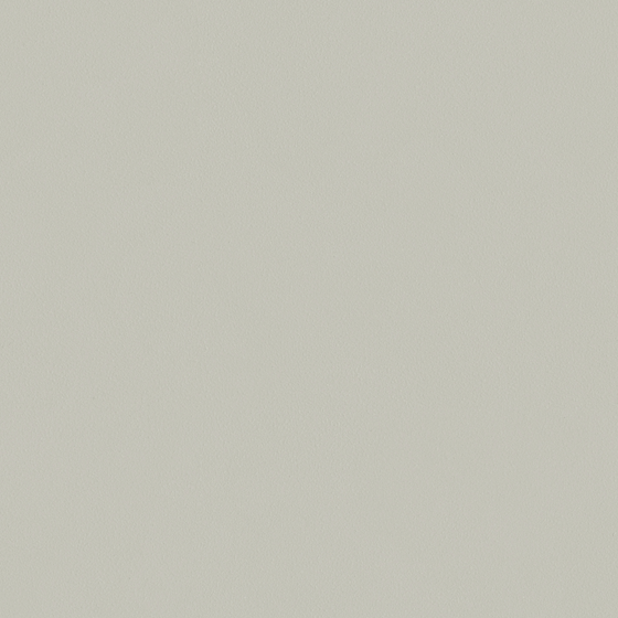 Crocodile Wall Paint 3D Model in Wood Color