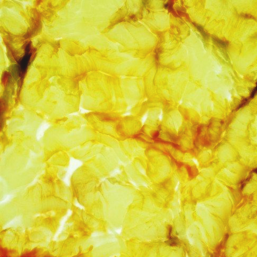 Yellow Floor Tile 3D Model for Bright Interiors