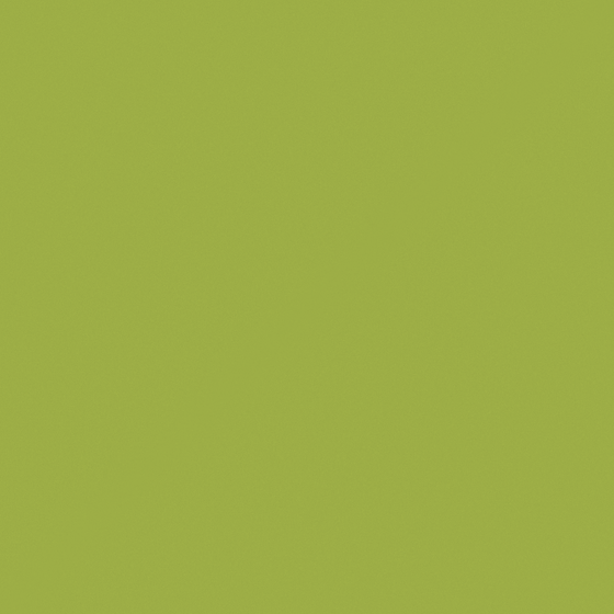 Elegant Green Soft Material 3D Model