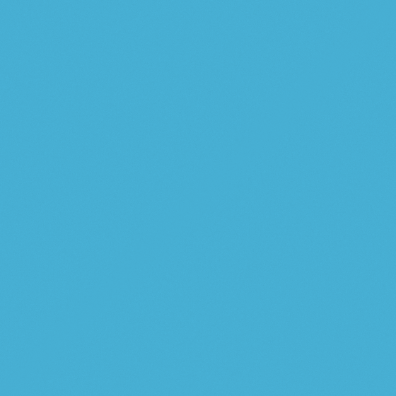 Nippon