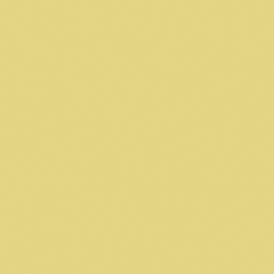 Nippon