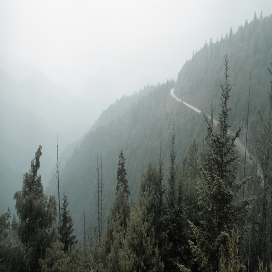 Soft packing material