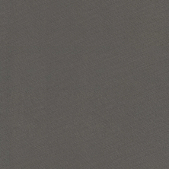 E3 Scottish Brown Veneer Panel 3D Model