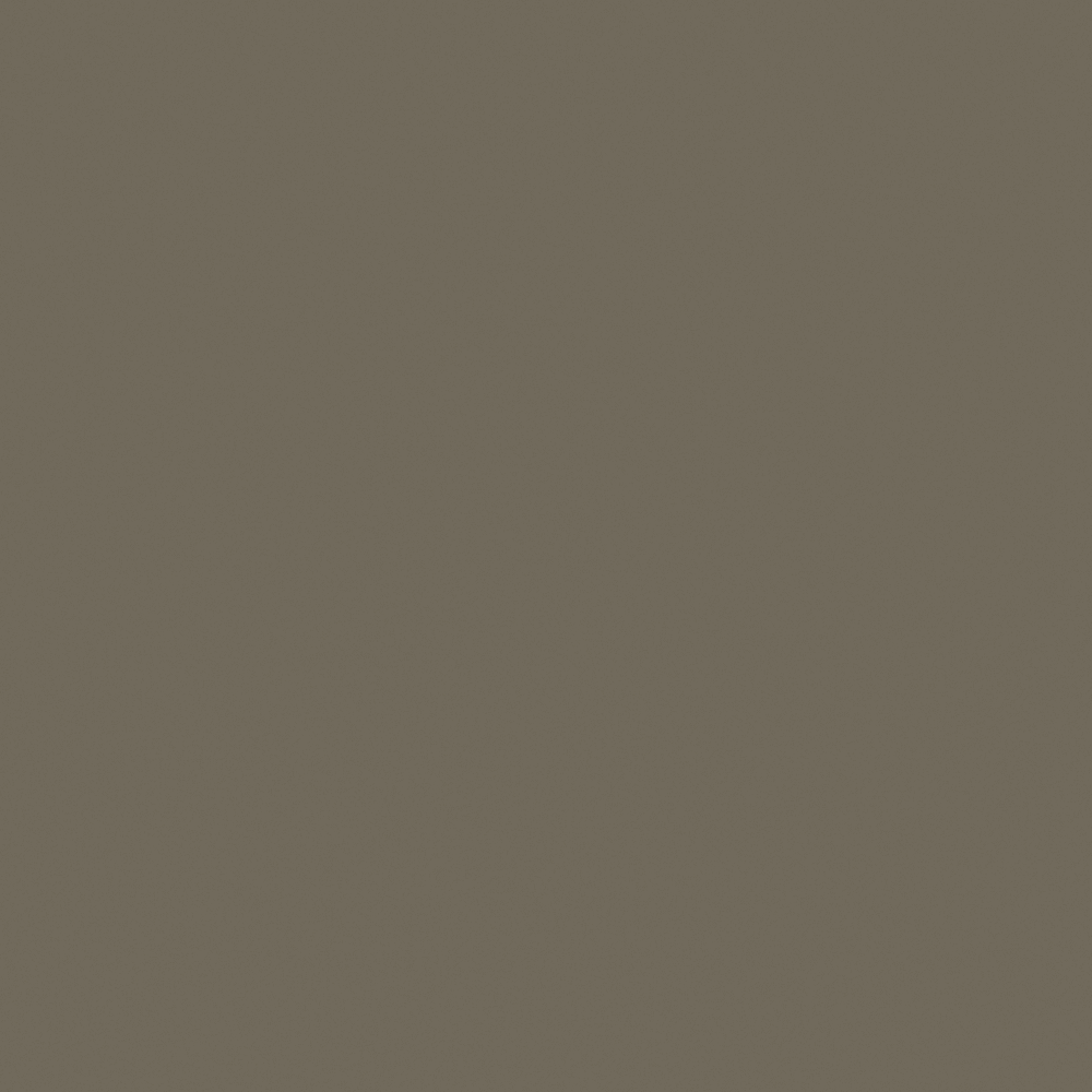 Frosted glass 13-0401