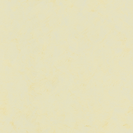 Wall Paints/Coatings 3D Model in Earth Color