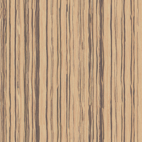 Wood Varnish Real-Time Material 3D Model in Brown