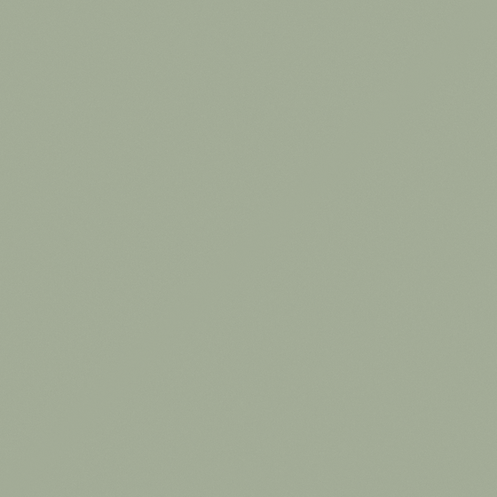 Gray Baibin Paint 3D Model for Wall Finishes
