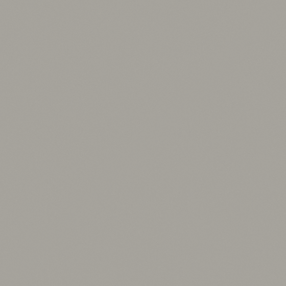 Gray Baibin Wall Paint 3D Model