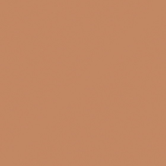 Brown Baibin Paint 3D Model for Walls