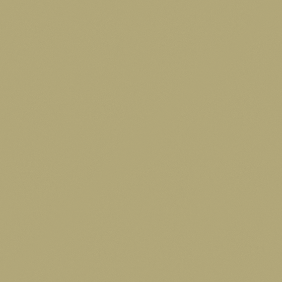 Rich Brown Wall Paint 3D Model by Baibin