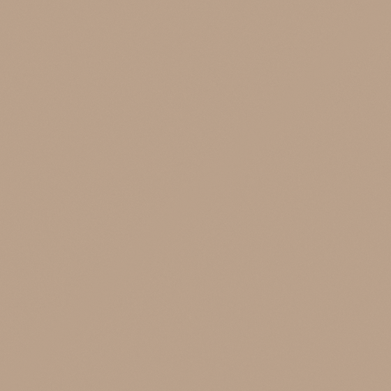 Baibin Paint 3D Model in Brown for Walls