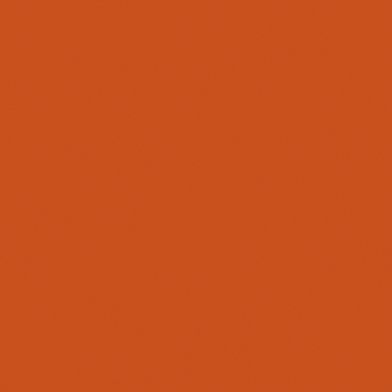 Red Baibin Wall Paint for Bold Designs