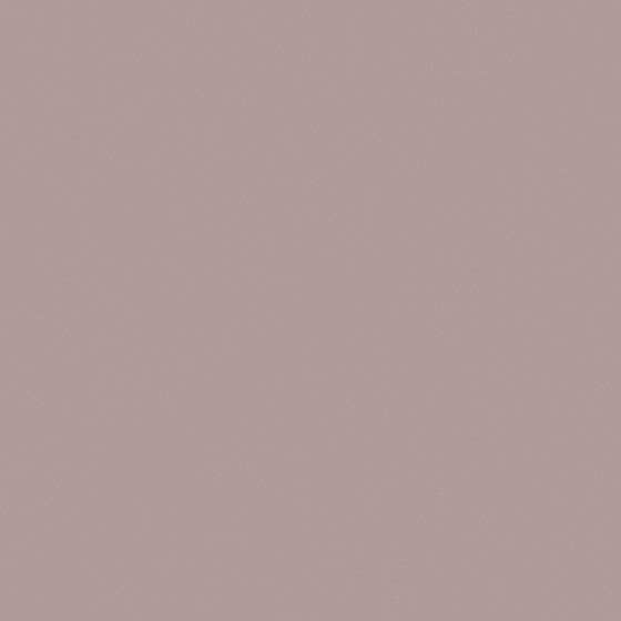 Baibin Wall Paint 3D Model in Gray