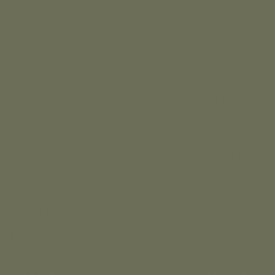 Elegant Brown Baibin Paint for Interiors