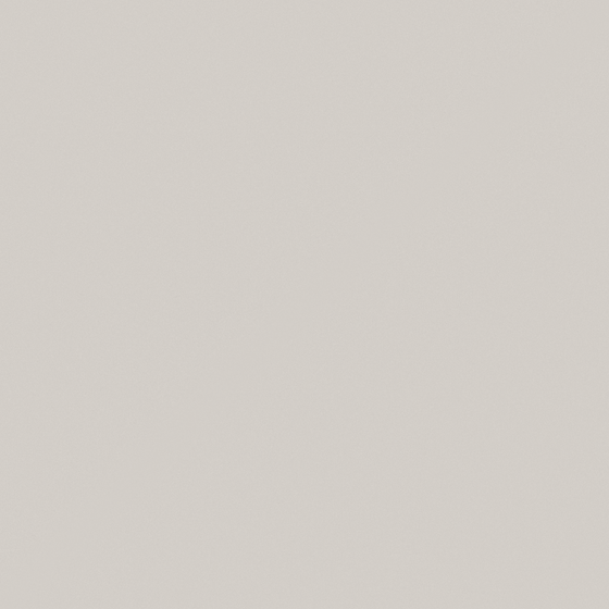 Baibin Paint 3D Model in Earth Color for Walls