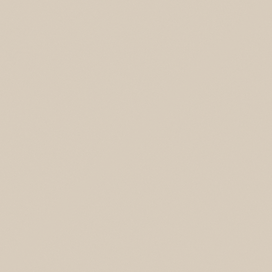 Baibin Paint 3D Model in Earth Color for Walls