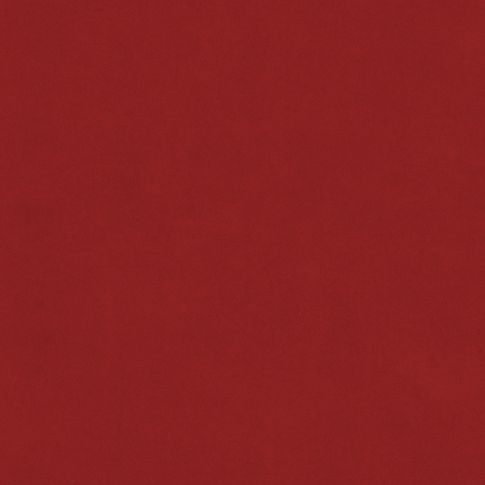 Real Time Material-Leather