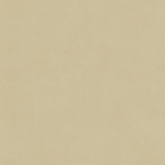Real Time Material-Leather